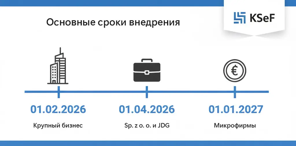 Инфографика: сроки внедрения KSeF в Польше для различных групп налогоплательщиков 2026-2027.